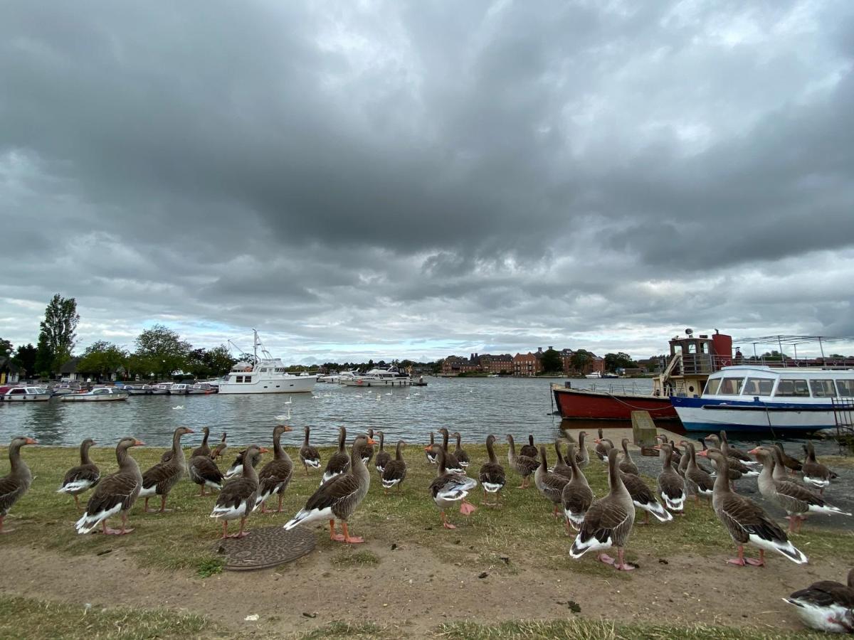 Swan View, Oulton Broad Lejlighed Lowestoft Eksteriør billede